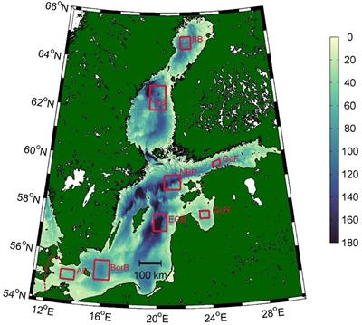 Stratification Has Strengthened in the Baltic Sea – An Analysis of 35 Years of Observational Data